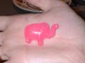 Rosa elefant-isbiter i vannet!