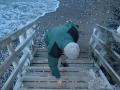 Marius str�r