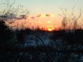 Solnedgang