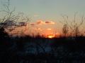 Solnedgang