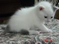 Peekaboo!