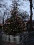 flott juletre