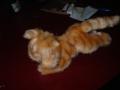 1 desember: kosekatt