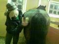 Nina b�rster hest