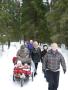 P� tur i skogen