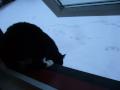 09:30 Morse vil ut