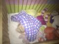 Rakel